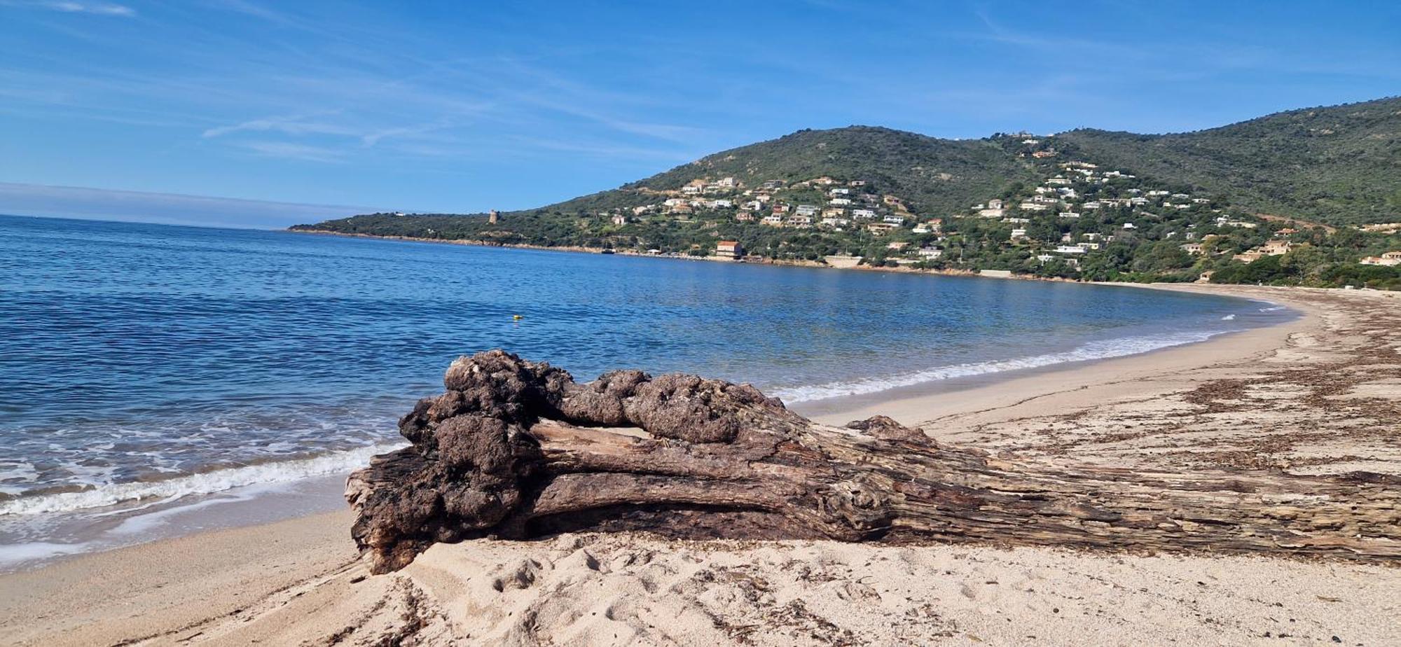 לינה וארוחת בוקר Vico Mare E Monti Chez Thomas Et Magali מראה חיצוני תמונה